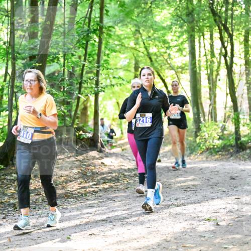 28.09.2025 - 33. Volkslauf durch das schöne Alstertal Dr. Thomas Lammeyer http://msf.ph/oto/8963270 28.09.2025 11:14:36 Laufen 410, 3216 meine-sportfotos.de
