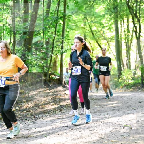 28.09.2025 - 33. Volkslauf durch das schöne Alstertal Dr. Thomas Lammeyer http://msf.ph/oto/8963272 28.09.2025 11:14:36 Laufen 410, 3216 meine-sportfotos.de