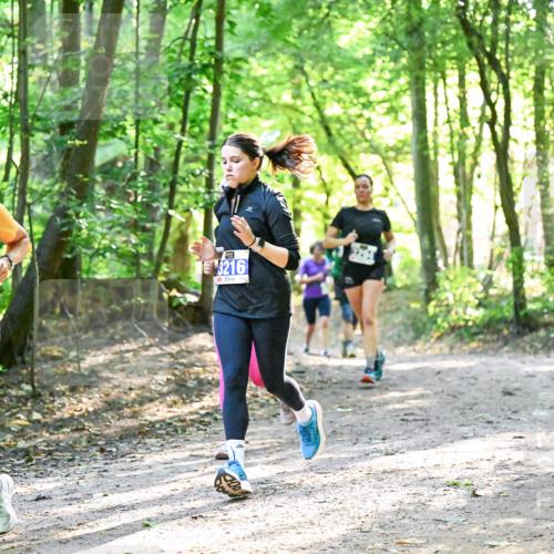 28.09.2025 - 33. Volkslauf durch das schöne Alstertal Dr. Thomas Lammeyer http://msf.ph/oto/8963274 28.09.2025 11:14:37 Laufen 3410, 3216 meine-sportfotos.de