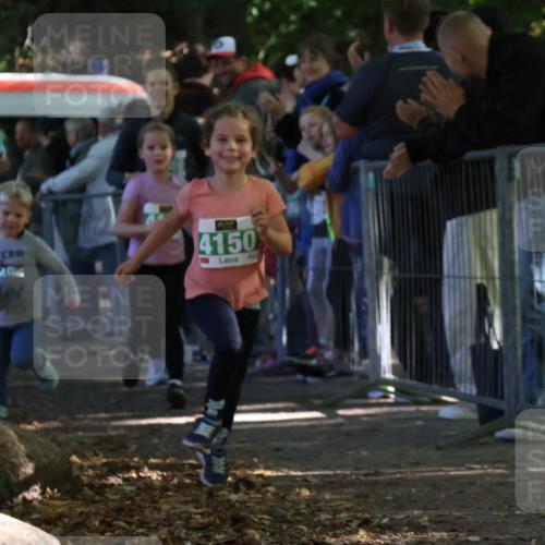 28.09.2025 - 33. Volkslauf durch das schöne Alstertal Strokosch-Dieckow http://msf.ph/oto/8963277 28.09.2025 11:03:06 Ziel 4148, 4149, 4150, 4151 meine-sportfotos.de
