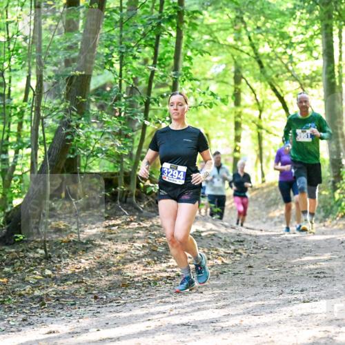28.09.2025 - 33. Volkslauf durch das schöne Alstertal Dr. Thomas Lammeyer http://msf.ph/oto/8963280 28.09.2025 11:14:38 Laufen 3294, 10, 3951 meine-sportfotos.de