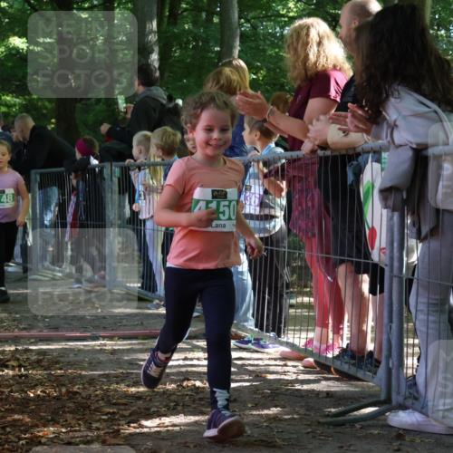 28.09.2025 - 33. Volkslauf durch das schöne Alstertal Strokosch-Dieckow http://msf.ph/oto/8963294 28.09.2025 11:03:08 Ziel 4148, 4149, 4150, 4151 meine-sportfotos.de