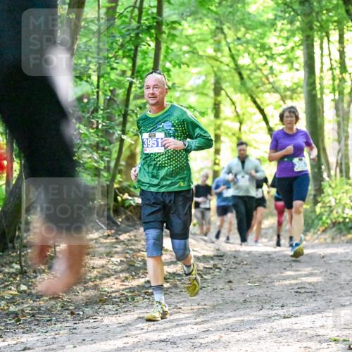 28.09.2025 - 33. Volkslauf durch das schöne Alstertal Dr. Thomas Lammeyer http://msf.ph/oto/8963297 28.09.2025 11:14:40 Laufen 3951 meine-sportfotos.de