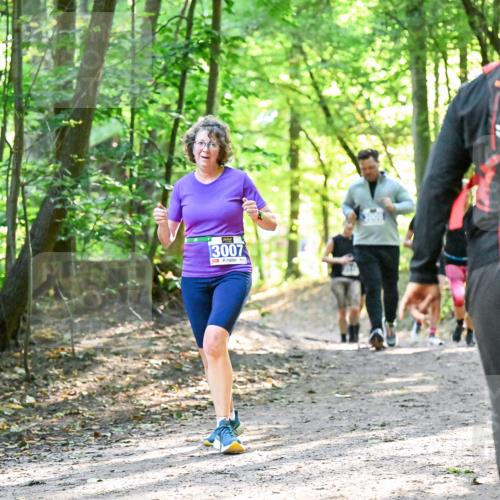 28.09.2025 - 33. Volkslauf durch das schöne Alstertal Dr. Thomas Lammeyer http://msf.ph/oto/8963302 28.09.2025 11:14:42 Laufen 3007 meine-sportfotos.de