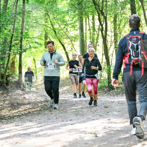 28.09.2025 - 33. Volkslauf durch das schöne Alstertal Dr. Thomas Lammeyer http://msf.ph/oto/8963309 28.09.2025 11:14:44 Laufen 3008, 3119, 31 meine-sportfotos.de