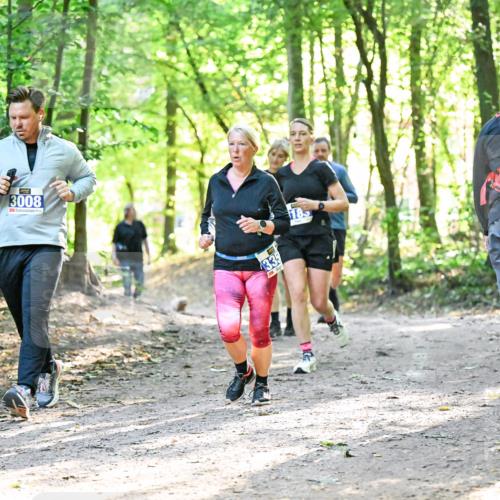 28.09.2025 - 33. Volkslauf durch das schöne Alstertal Dr. Thomas Lammeyer http://msf.ph/oto/8963315 28.09.2025 11:14:45 Laufen 3008, 335, 185 meine-sportfotos.de