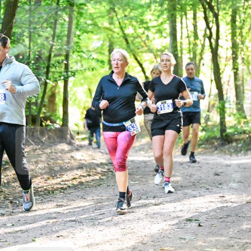 28.09.2025 - 33. Volkslauf durch das schöne Alstertal Dr. Thomas Lammeyer http://msf.ph/oto/8963318 28.09.2025 11:14:45 Laufen 3008, 33, 3183 meine-sportfotos.de