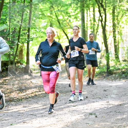 28.09.2025 - 33. Volkslauf durch das schöne Alstertal Dr. Thomas Lammeyer http://msf.ph/oto/8963319 28.09.2025 11:14:46 Laufen 3008, 3183 meine-sportfotos.de