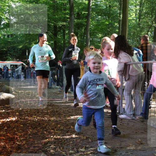 28.09.2025 - 33. Volkslauf durch das schöne Alstertal Strokosch-Dieckow http://msf.ph/oto/8963321 28.09.2025 11:03:10 Ziel 4148, 4149, 4151 meine-sportfotos.de