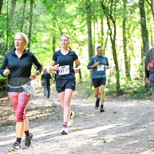 28.09.2025 - 33. Volkslauf durch das schöne Alstertal Dr. Thomas Lammeyer http://msf.ph/oto/8963322 28.09.2025 11:14:46 Laufen 133, 3183 meine-sportfotos.de