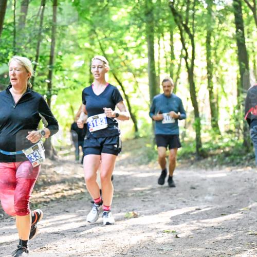 28.09.2025 - 33. Volkslauf durch das schöne Alstertal Dr. Thomas Lammeyer http://msf.ph/oto/8963323 28.09.2025 11:14:46 Laufen 1335, 3183 meine-sportfotos.de