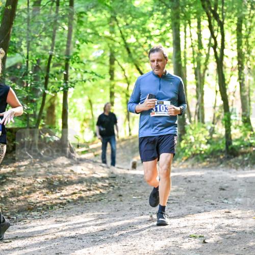 28.09.2025 - 33. Volkslauf durch das schöne Alstertal Dr. Thomas Lammeyer http://msf.ph/oto/8963331 28.09.2025 11:14:48 Laufen 3119, 3103 meine-sportfotos.de
