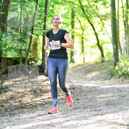 28.09.2025 - 33. Volkslauf durch das schöne Alstertal Dr. Thomas Lammeyer http://msf.ph/oto/8963362 28.09.2025 11:15:04 Laufen 30 meine-sportfotos.de