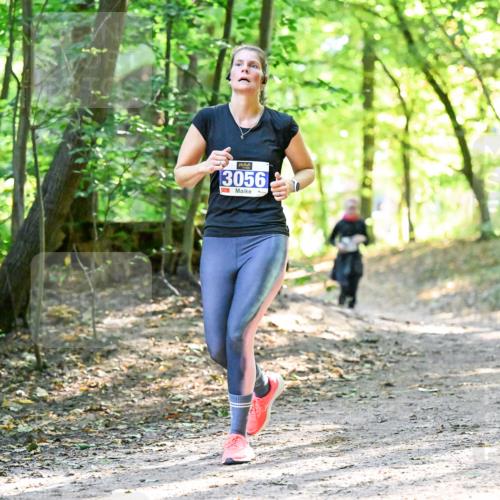 28.09.2025 - 33. Volkslauf durch das schöne Alstertal Dr. Thomas Lammeyer http://msf.ph/oto/8963366 28.09.2025 11:15:05 Laufen 3056 meine-sportfotos.de