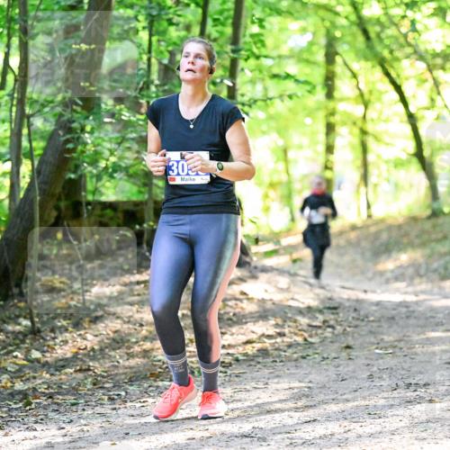 28.09.2025 - 33. Volkslauf durch das schöne Alstertal Dr. Thomas Lammeyer http://msf.ph/oto/8963367 28.09.2025 11:15:05 Laufen 30 meine-sportfotos.de