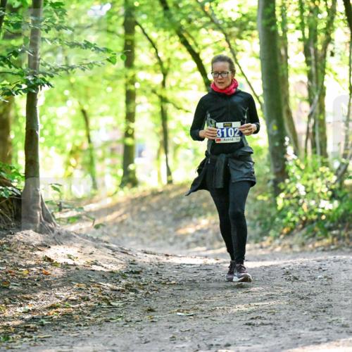 28.09.2025 - 33. Volkslauf durch das schöne Alstertal Dr. Thomas Lammeyer http://msf.ph/oto/8963375 28.09.2025 11:15:10 Laufen 3102 meine-sportfotos.de