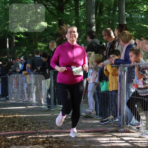28.09.2025 - 33. Volkslauf durch das schöne Alstertal Strokosch-Dieckow http://msf.ph/oto/8963378 28.09.2025 11:03:30 Ziel 4071, 4905 meine-sportfotos.de