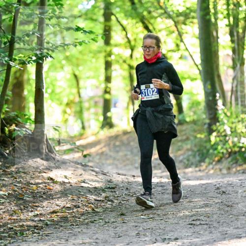 28.09.2025 - 33. Volkslauf durch das schöne Alstertal Dr. Thomas Lammeyer http://msf.ph/oto/8963379 28.09.2025 11:15:10 Laufen 3102 meine-sportfotos.de