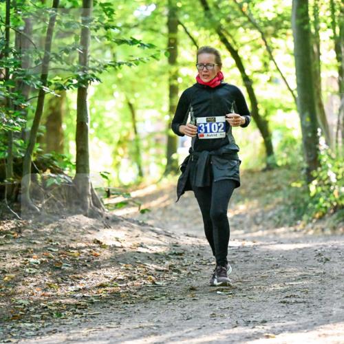 28.09.2025 - 33. Volkslauf durch das schöne Alstertal Dr. Thomas Lammeyer http://msf.ph/oto/8963381 28.09.2025 11:15:11 Laufen 3102 meine-sportfotos.de