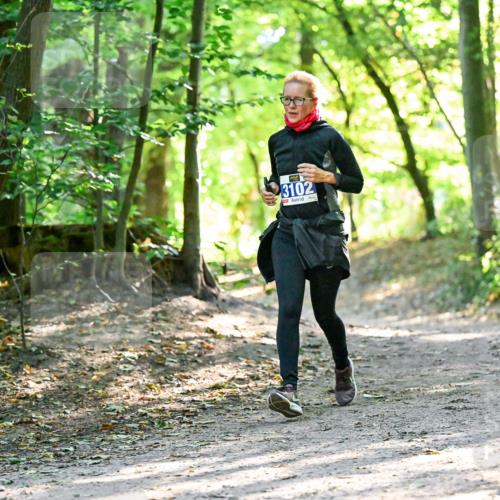 28.09.2025 - 33. Volkslauf durch das schöne Alstertal Dr. Thomas Lammeyer http://msf.ph/oto/8963384 28.09.2025 11:15:11 Laufen 3102 meine-sportfotos.de