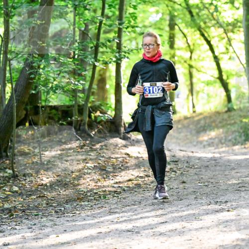 28.09.2025 - 33. Volkslauf durch das schöne Alstertal Dr. Thomas Lammeyer http://msf.ph/oto/8963387 28.09.2025 11:15:11 Laufen 3102 meine-sportfotos.de