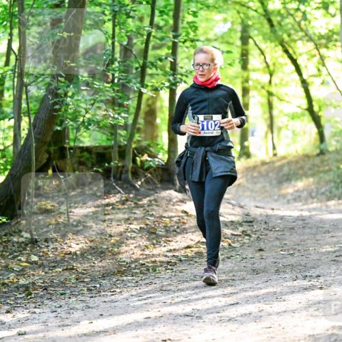 28.09.2025 - 33. Volkslauf durch das schöne Alstertal Dr. Thomas Lammeyer http://msf.ph/oto/8963388 28.09.2025 11:15:11 Laufen 3102 meine-sportfotos.de