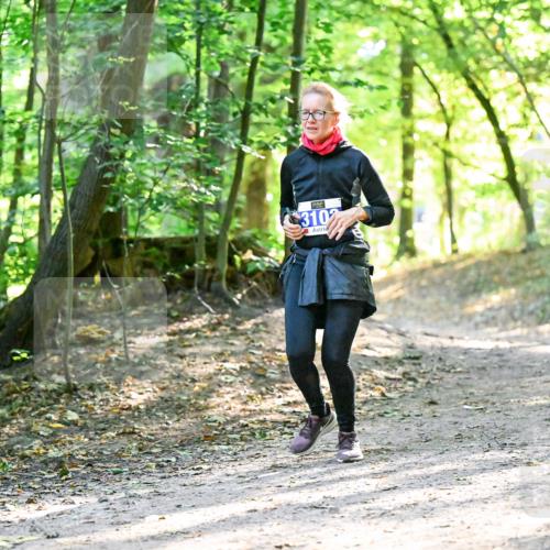 28.09.2025 - 33. Volkslauf durch das schöne Alstertal Dr. Thomas Lammeyer http://msf.ph/oto/8963389 28.09.2025 11:15:11 Laufen 310 meine-sportfotos.de