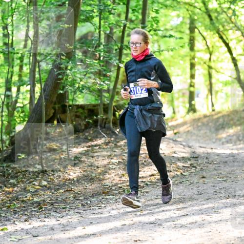 28.09.2025 - 33. Volkslauf durch das schöne Alstertal Dr. Thomas Lammeyer http://msf.ph/oto/8963390 28.09.2025 11:15:12 Laufen 3102 meine-sportfotos.de