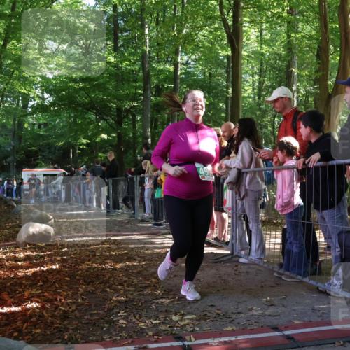 28.09.2025 - 33. Volkslauf durch das schöne Alstertal Strokosch-Dieckow http://msf.ph/oto/8963392 28.09.2025 11:03:31 Ziel 4071, 4905 meine-sportfotos.de