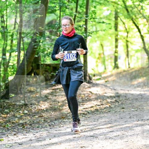 28.09.2025 - 33. Volkslauf durch das schöne Alstertal Dr. Thomas Lammeyer http://msf.ph/oto/8963393 28.09.2025 11:15:12 Laufen 3102 meine-sportfotos.de