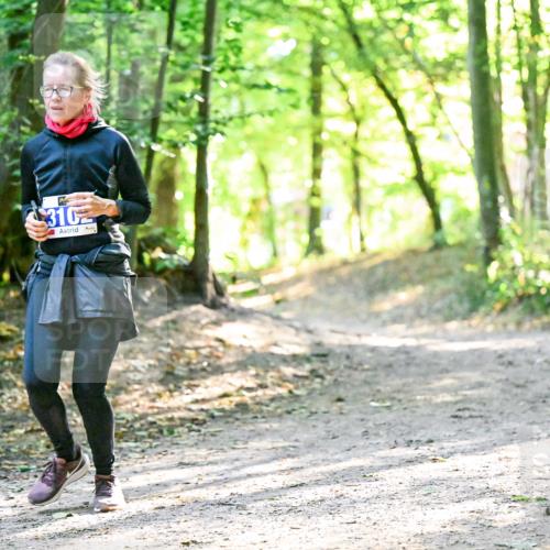 28.09.2025 - 33. Volkslauf durch das schöne Alstertal Dr. Thomas Lammeyer http://msf.ph/oto/8963395 28.09.2025 11:15:12 Laufen 310 meine-sportfotos.de