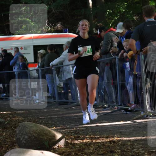 28.09.2025 - 33. Volkslauf durch das schöne Alstertal Strokosch-Dieckow http://msf.ph/oto/8963404 28.09.2025 11:03:35 Ziel 4071 meine-sportfotos.de
