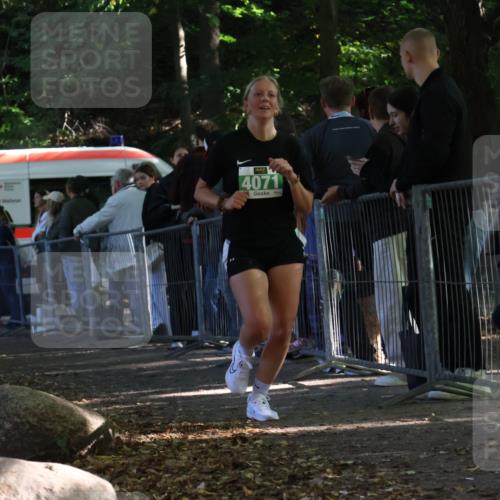 28.09.2025 - 33. Volkslauf durch das schöne Alstertal Strokosch-Dieckow http://msf.ph/oto/8963408 28.09.2025 11:03:36 Ziel 4071 meine-sportfotos.de