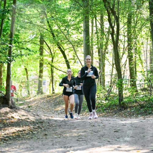 28.09.2025 - 33. Volkslauf durch das schöne Alstertal Dr. Thomas Lammeyer http://msf.ph/oto/8963420 28.09.2025 11:15:39 Laufen 054, 3050 meine-sportfotos.de