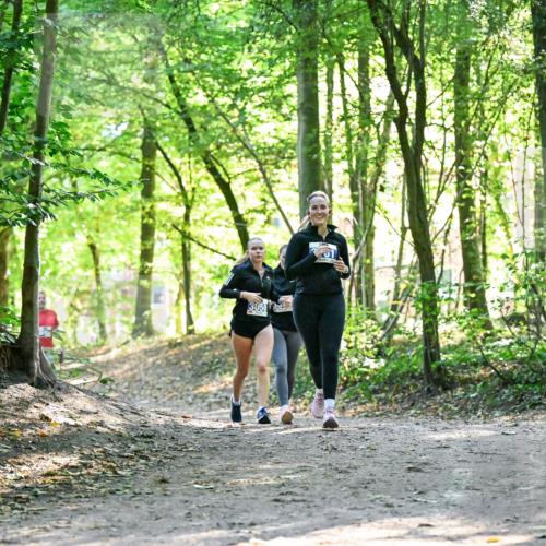 28.09.2025 - 33. Volkslauf durch das schöne Alstertal Dr. Thomas Lammeyer http://msf.ph/oto/8963421 28.09.2025 11:15:39 Laufen  meine-sportfotos.de