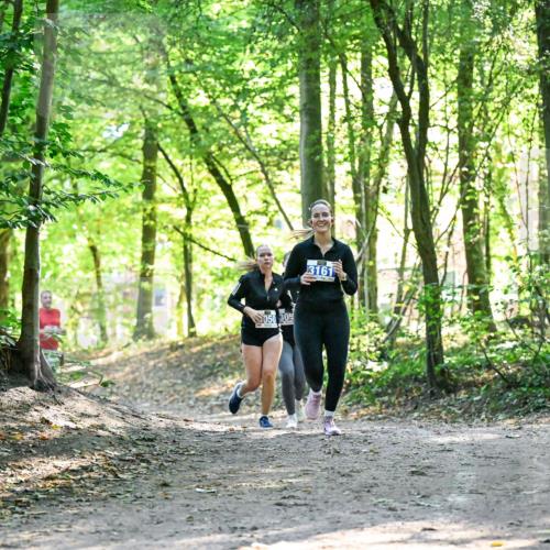 28.09.2025 - 33. Volkslauf durch das schöne Alstertal Dr. Thomas Lammeyer http://msf.ph/oto/8963423 28.09.2025 11:15:39 Laufen 050, 30, 3161 meine-sportfotos.de