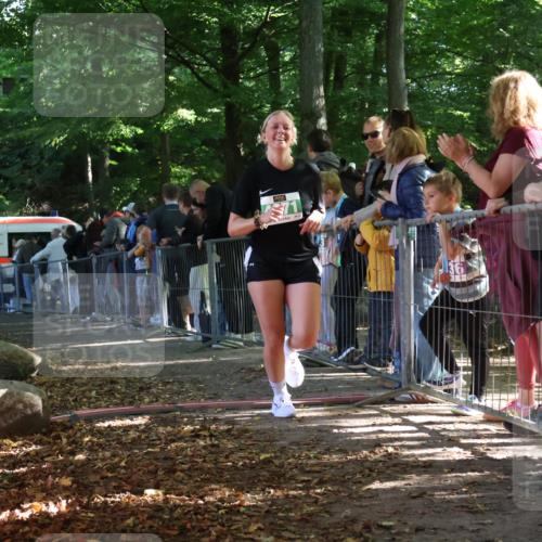28.09.2025 - 33. Volkslauf durch das schöne Alstertal Strokosch-Dieckow http://msf.ph/oto/8963431 28.09.2025 11:03:38 Ziel 4071 meine-sportfotos.de