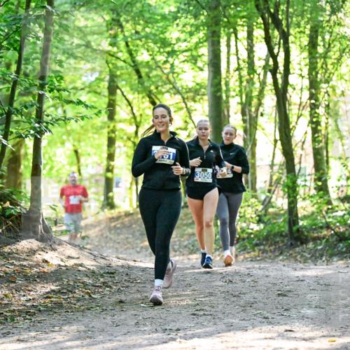28.09.2025 - 33. Volkslauf durch das schöne Alstertal Dr. Thomas Lammeyer http://msf.ph/oto/8963434 28.09.2025 11:15:40 Laufen 3050, 324 meine-sportfotos.de