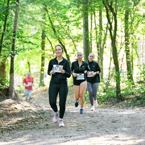 28.09.2025 - 33. Volkslauf durch das schöne Alstertal Dr. Thomas Lammeyer http://msf.ph/oto/8963435 28.09.2025 11:15:40 Laufen 316, 3050 meine-sportfotos.de