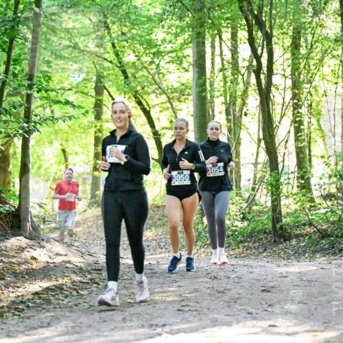 28.09.2025 - 33. Volkslauf durch das schöne Alstertal Dr. Thomas Lammeyer http://msf.ph/oto/8963436 28.09.2025 11:15:41 Laufen 3050, 3054 meine-sportfotos.de