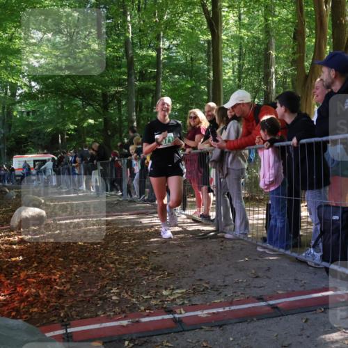 28.09.2025 - 33. Volkslauf durch das schöne Alstertal Strokosch-Dieckow http://msf.ph/oto/8963438 28.09.2025 11:03:39 Ziel 4071 meine-sportfotos.de