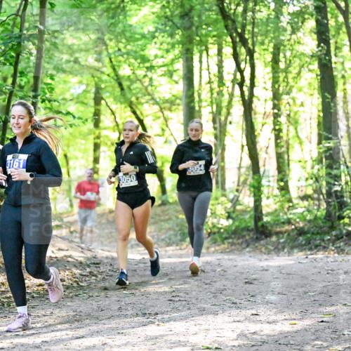 28.09.2025 - 33. Volkslauf durch das schöne Alstertal Dr. Thomas Lammeyer http://msf.ph/oto/8963439 28.09.2025 11:15:41 Laufen 3161, 3050, 3054 meine-sportfotos.de