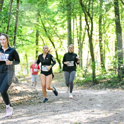 28.09.2025 - 33. Volkslauf durch das schöne Alstertal Dr. Thomas Lammeyer http://msf.ph/oto/8963440 28.09.2025 11:15:42 Laufen 3161, 3054, 3054 meine-sportfotos.de
