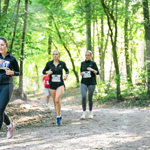28.09.2025 - 33. Volkslauf durch das schöne Alstertal Dr. Thomas Lammeyer http://msf.ph/oto/8963441 28.09.2025 11:15:42 Laufen 161, 3050, 3054 meine-sportfotos.de