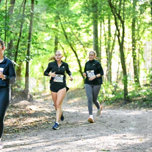 28.09.2025 - 33. Volkslauf durch das schöne Alstertal Dr. Thomas Lammeyer http://msf.ph/oto/8963443 28.09.2025 11:15:42 Laufen 316, 3050 meine-sportfotos.de