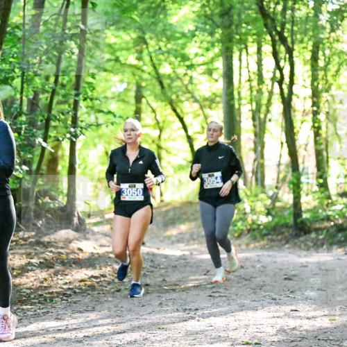 28.09.2025 - 33. Volkslauf durch das schöne Alstertal Dr. Thomas Lammeyer http://msf.ph/oto/8963444 28.09.2025 11:15:42 Laufen 3050, 3054 meine-sportfotos.de