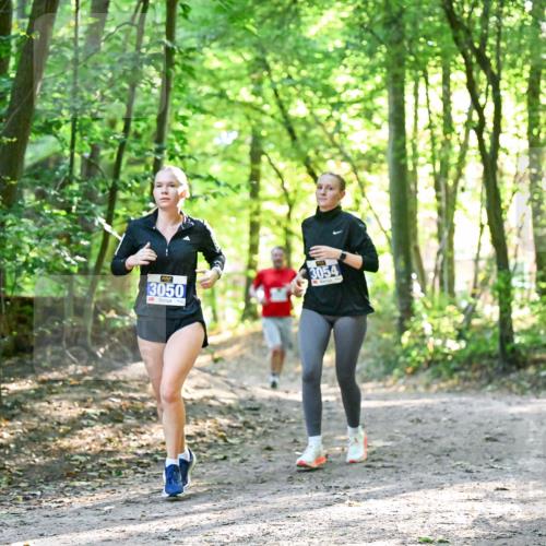 28.09.2025 - 33. Volkslauf durch das schöne Alstertal Dr. Thomas Lammeyer http://msf.ph/oto/8963445 28.09.2025 11:15:42 Laufen 3050, 3054 meine-sportfotos.de
