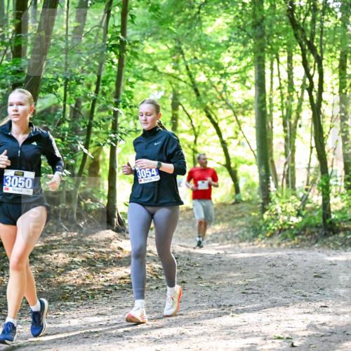 28.09.2025 - 33. Volkslauf durch das schöne Alstertal Dr. Thomas Lammeyer http://msf.ph/oto/8963449 28.09.2025 11:15:43 Laufen 3050, 3054 meine-sportfotos.de