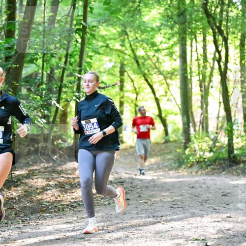 28.09.2025 - 33. Volkslauf durch das schöne Alstertal Dr. Thomas Lammeyer http://msf.ph/oto/8963450 28.09.2025 11:15:43 Laufen 3050, 3054 meine-sportfotos.de