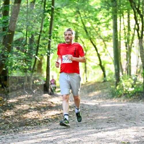 28.09.2025 - 33. Volkslauf durch das schöne Alstertal Dr. Thomas Lammeyer http://msf.ph/oto/8963459 28.09.2025 11:15:48 Laufen  meine-sportfotos.de